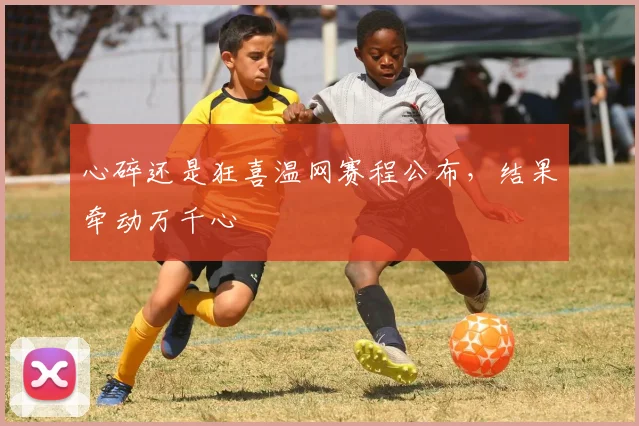 心碎还是狂喜温网赛程公布,结果牵动万千心