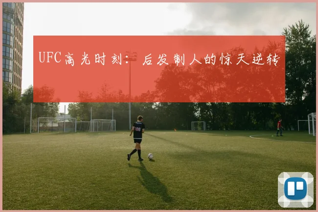 UFC高光时刻：后发制人的惊天逆转