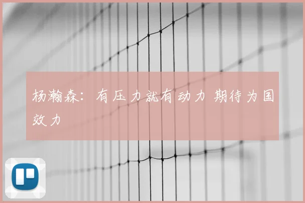 杨瀚森：有压力就有动力 期待为国效力