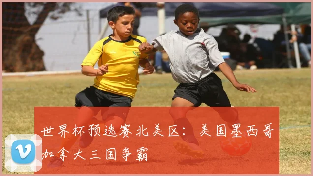 世界杯预选赛北美区：美国墨西哥加拿大三国争霸