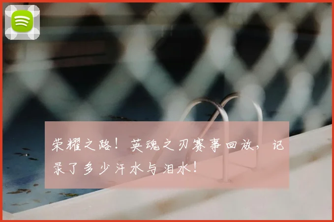 荣耀之路！英魂之刃赛事回放，记录了多少汗水与泪水！